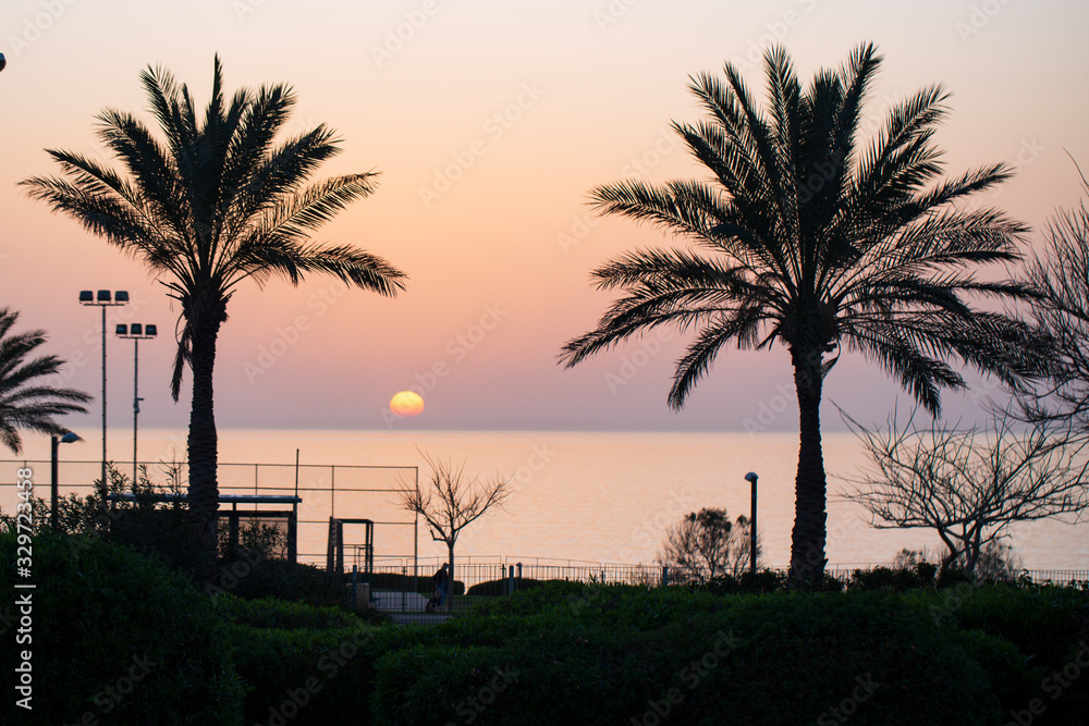 Beautiful sunset with silhouette tree in Israel Beautiful sunset with silhouette tree in Israel