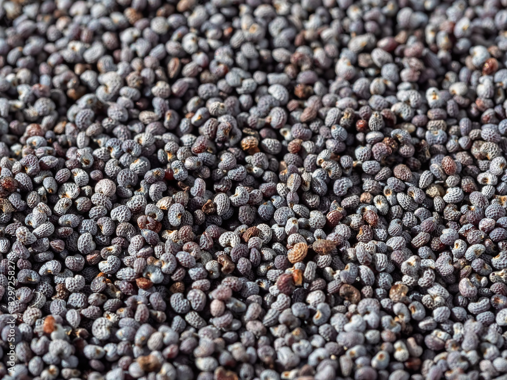 Poppy grain background, closeup, macro texture. Shallow depth of field. Ingredients for baking bread and sweets. Poppy grain background, closeup, macro texture. Shallow depth of field. Ingredients for baking bread and sweets.