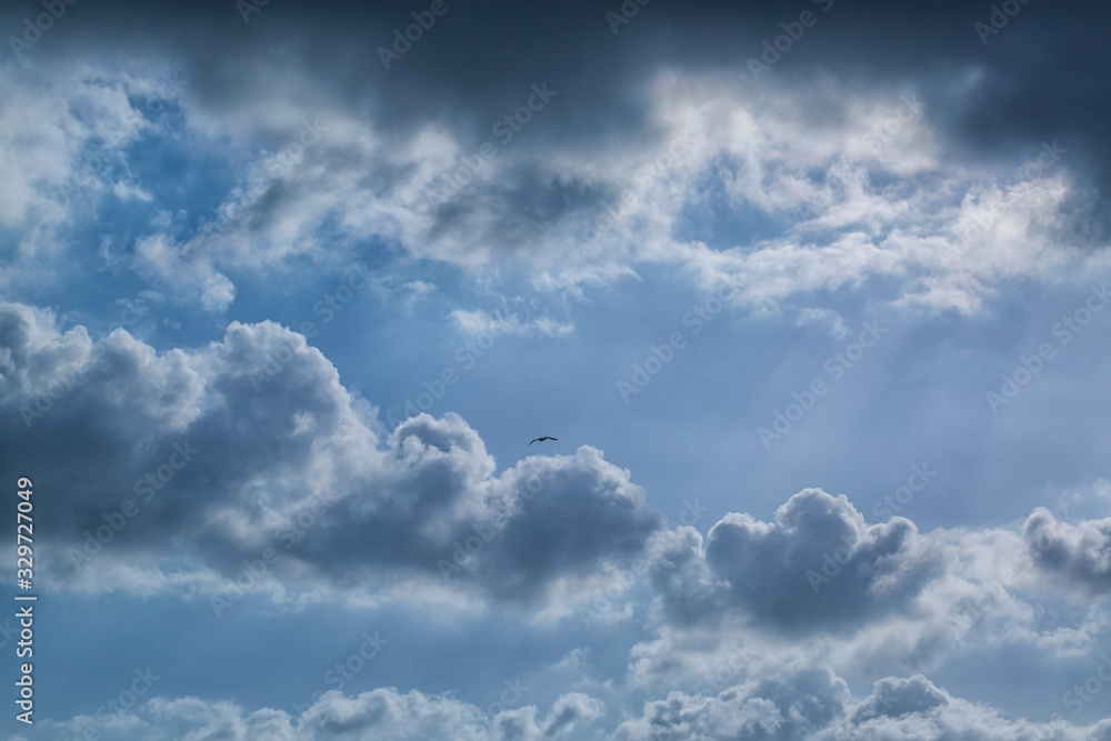 Fototapeta premium blue sky with clouds