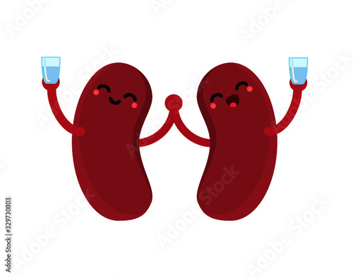Kidneys Drinking Water