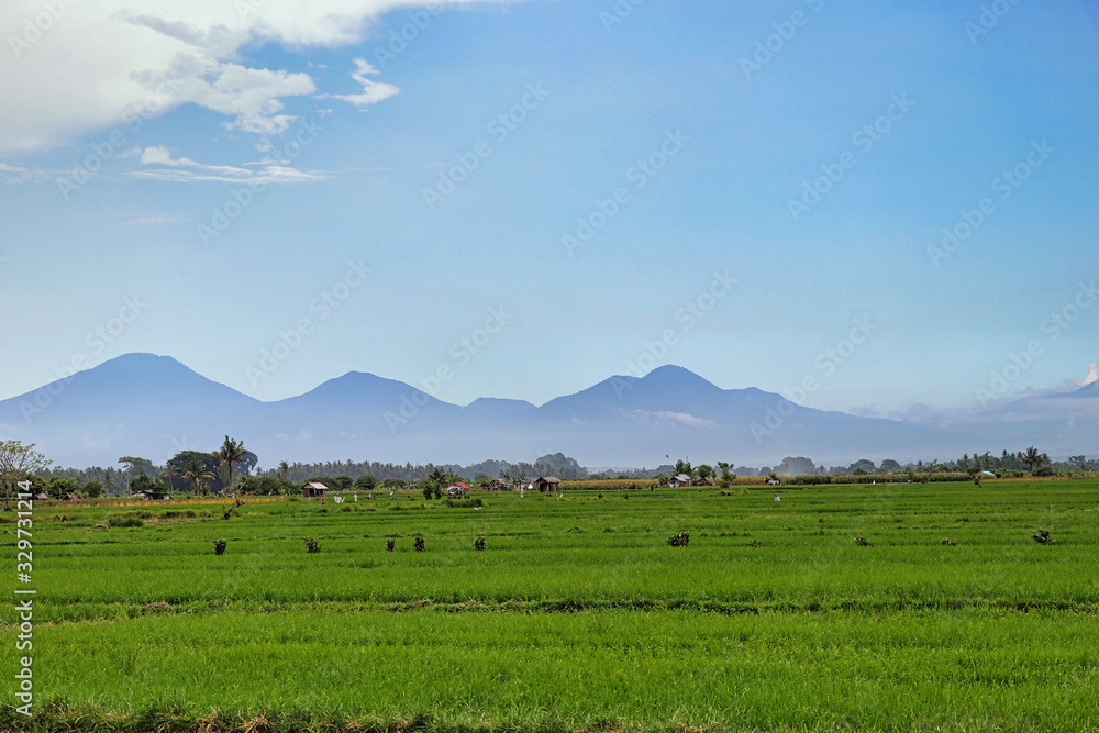 Green fields and big mountains on the background