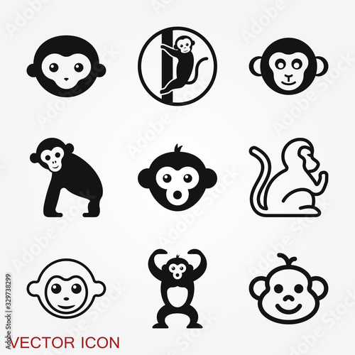 Vector monkey icon isolated on background. Animal symbol