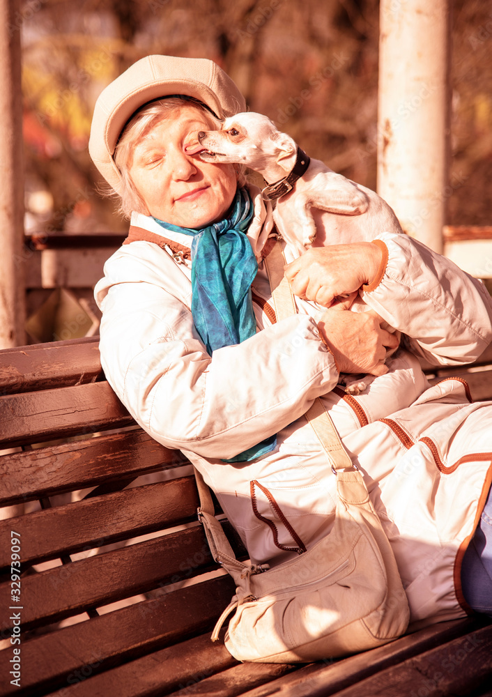 An elderly elegant woman with a small dog is sitting on a Park bench. An elderly elegant woman with a small dog is sitting on a Park bench.