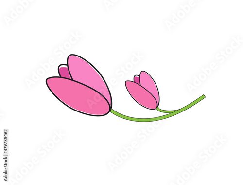 flat icon on white background tulip blooms . 8 March . Women's spring day.;