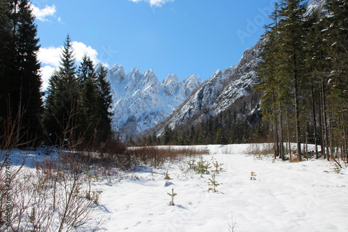 ALPI CARNICHE photo