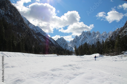 Wallpaper Mural ALPI CARNICHE Torontodigital.ca