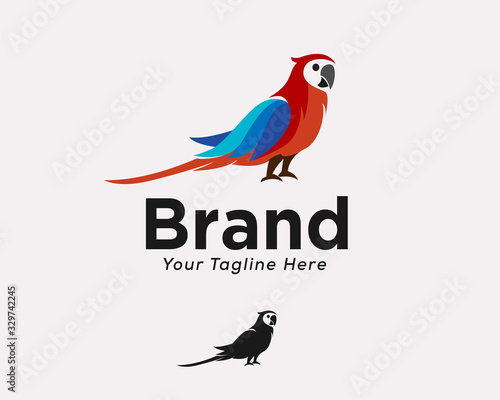 Colors parrots art logo design inspiration