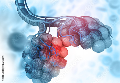 Tableau sur toile Lungs alveoli on blue background. 3d illustration.