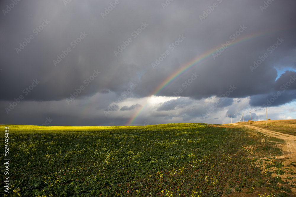 Rainbow against the background of clouds and a yellow field of rapeseed Rainbow against the background of clouds and a yellow field of rapeseed
