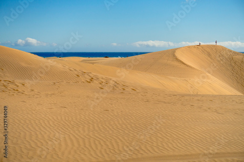 Dunes in Maspalomas  Gran Canaria