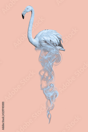 tropical flamingo in beautiful pastel colors peach and blue