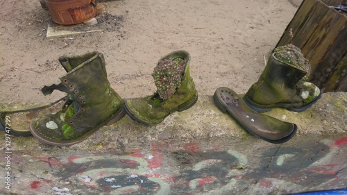 kaputter, alter Schuh mit Moos bewachsen