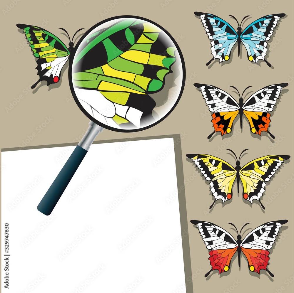 magnifying glass and butterflies