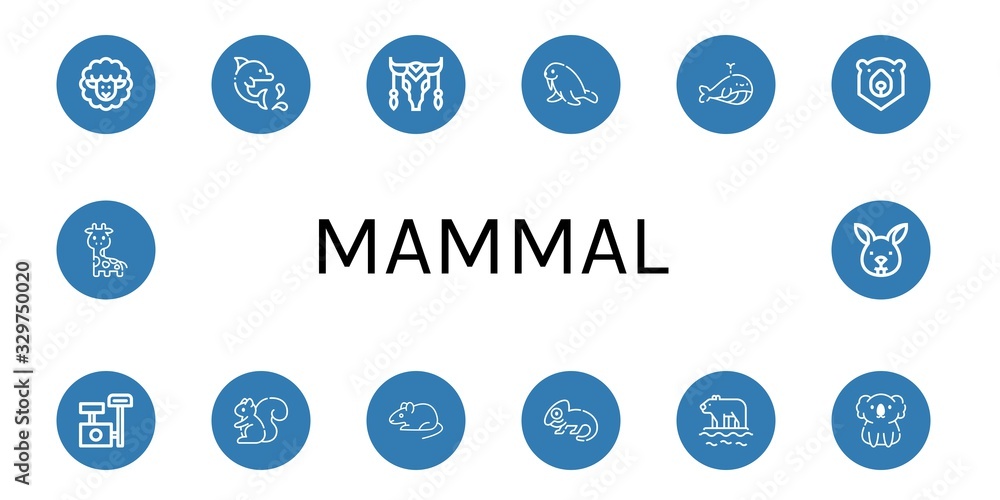 Set of mammal icons Set of mammal icons