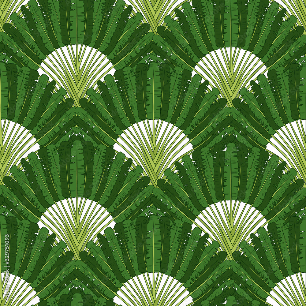 .Ravenala madagascariensis seamless pattern. Vintage texture with fan ...