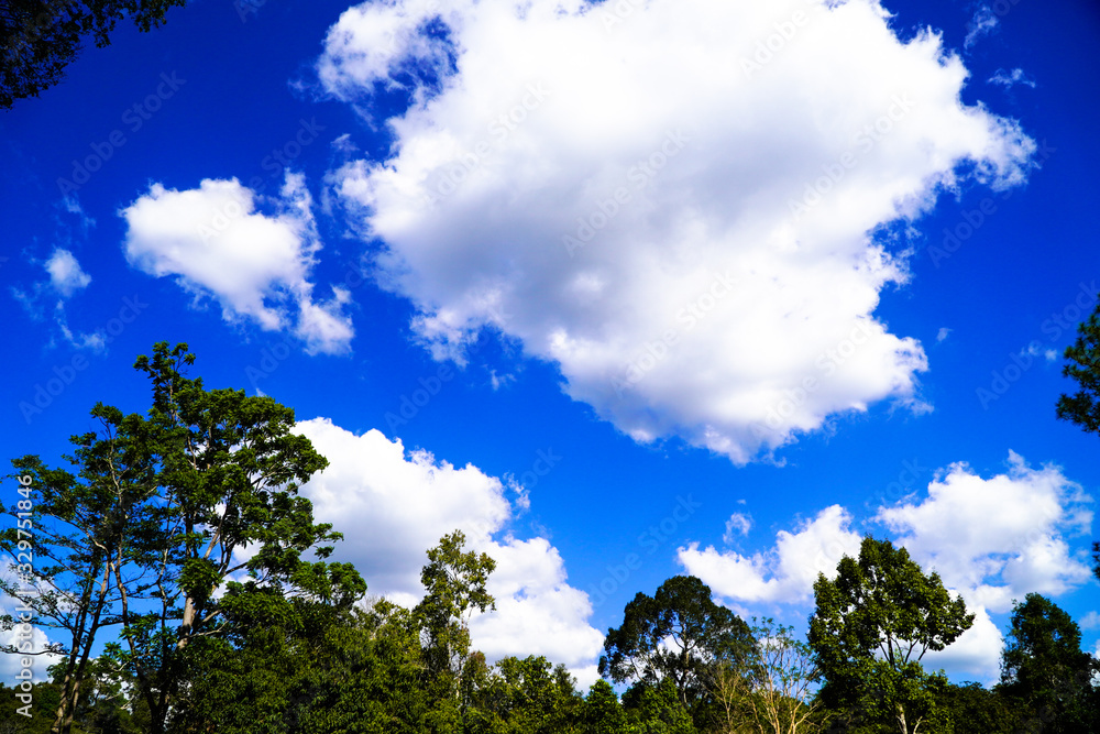Blue sky and white clouds Blue sky and white clouds
