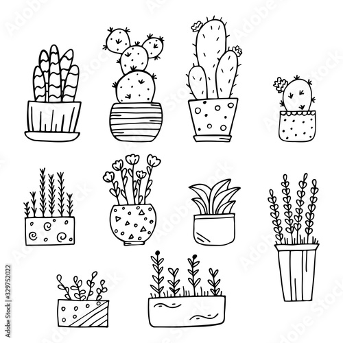 Set of hand drawn potted indoor flowers isolated on a white background. Doodle, simple outline illustration.