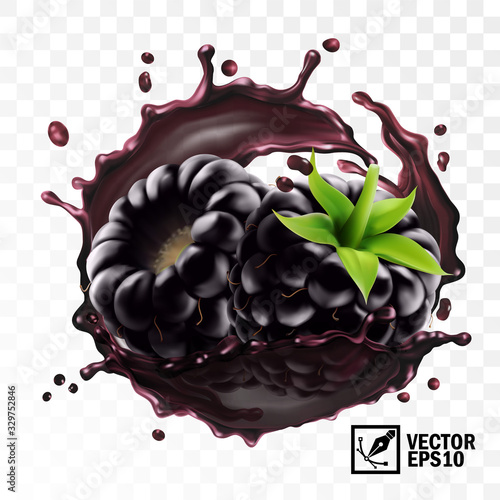 3d realistic transparent isolated vector, blackberry a sprig in a splash of juice with drops, edible handmade mesh