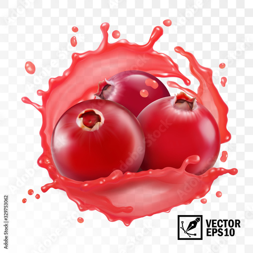 3d realistic transparent isolated vector, cranberry in a splash of juice with drops, edible handmade mesh