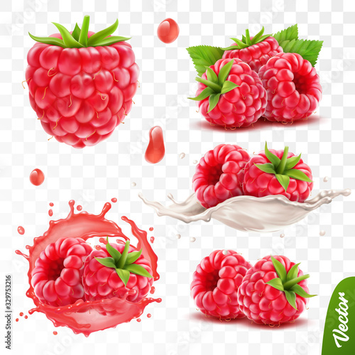 Murais de parede 3d realistic transparent isolated vector set, whole and slice of raspberry, rasp