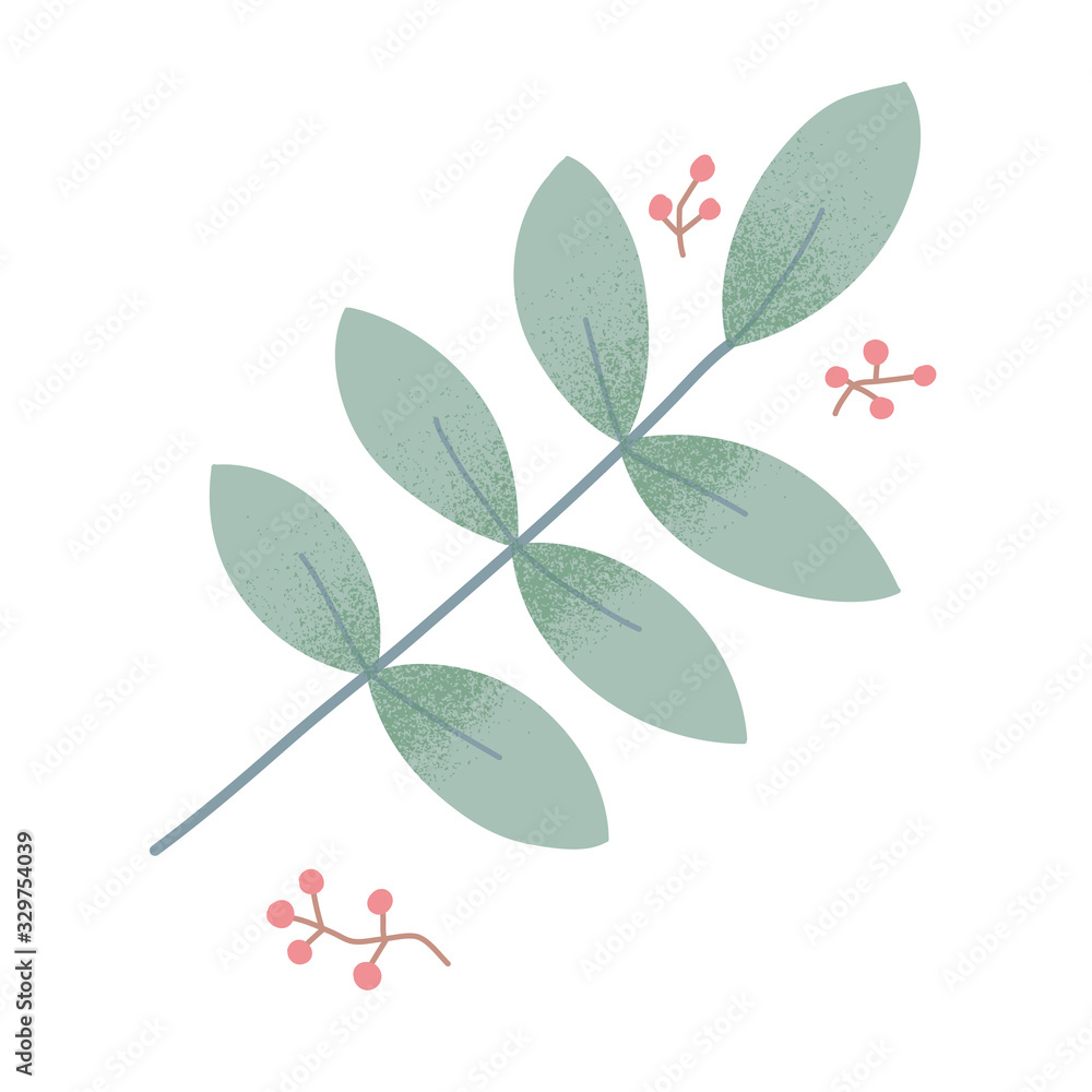 Green branch of eucalyptus tree with leaves, isolated hand drawn illustration Green branch of eucalyptus tree with leaves, isolated hand drawn illustration
