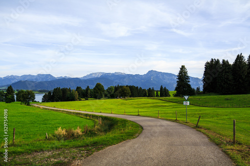 park landscape