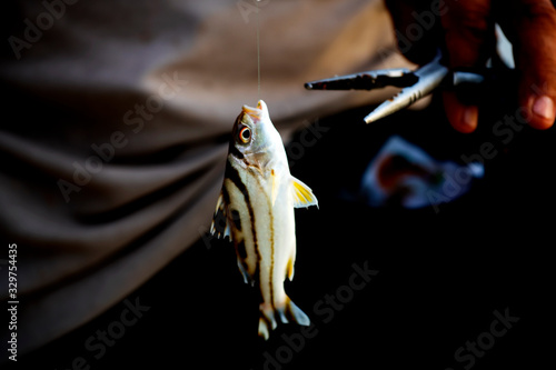 fishermen fishing the cooking food in the seaside dawn photo