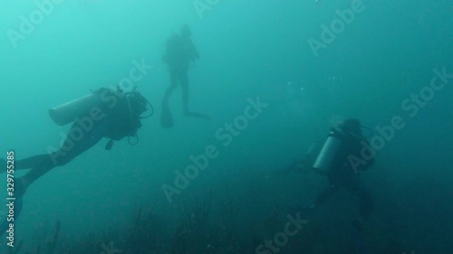 Wallpaper Mural A group of scuba divers swim in the caribbean sea. Torontodigital.ca