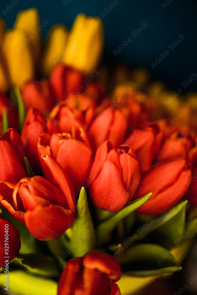 tied yellow and red tulips on wooden surface tied yellow and red tulips on wooden surface