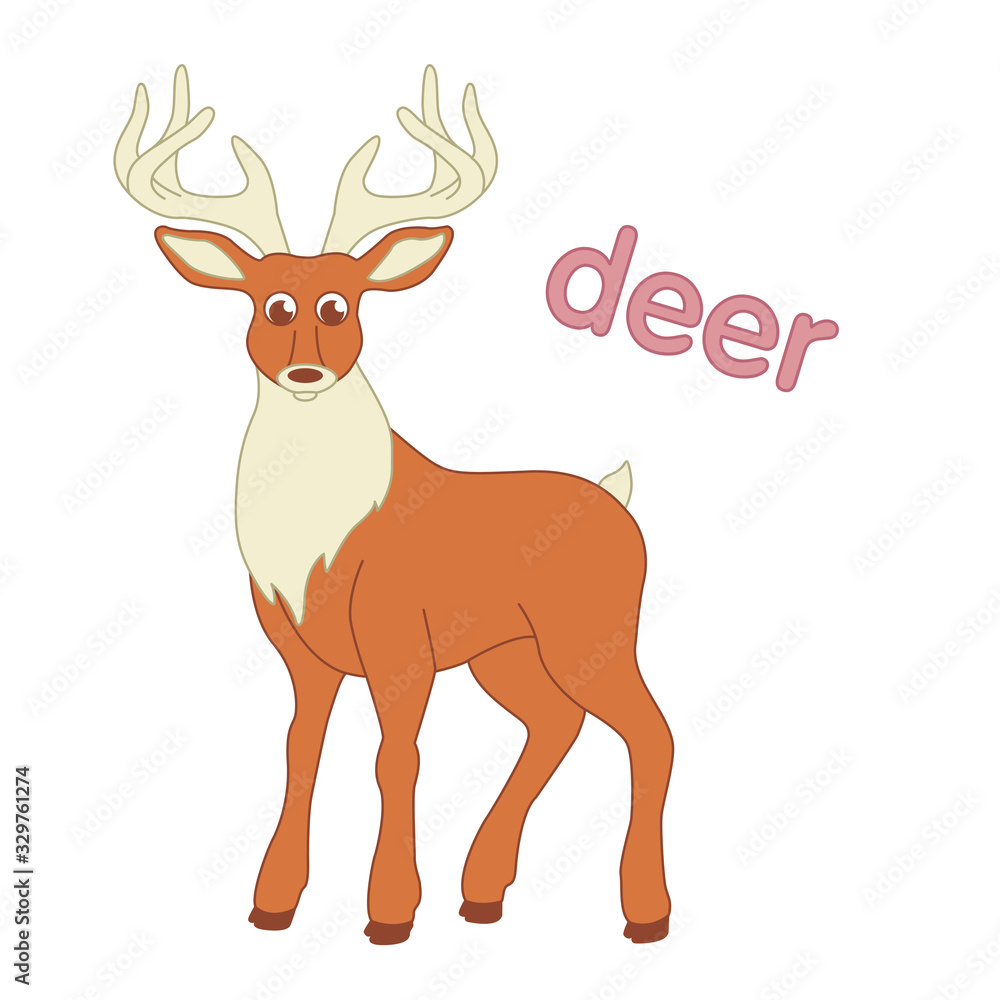 Deer illustration for children with the name