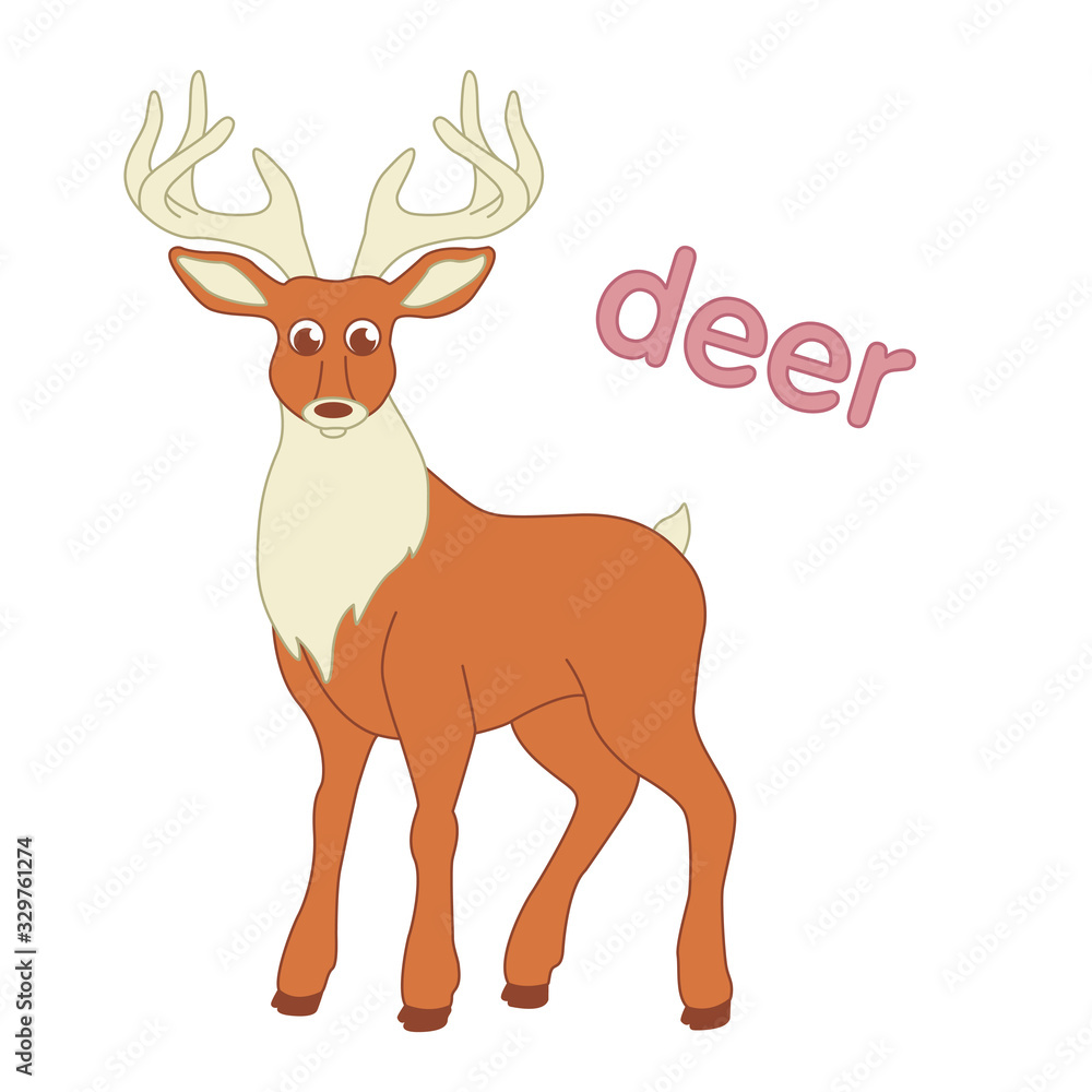 Deer illustration for children with the name Deer illustration for children with the name