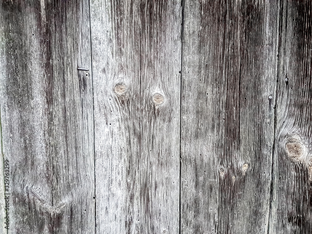 close up. the background image is a fragment of a wooden fence. close up. the background image is a fragment of a wooden fence.