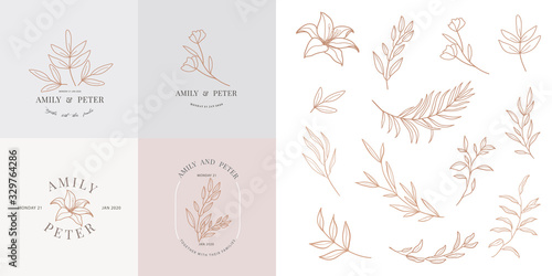Wedding logo, Botanical rustic trendy greenery vector illustration Floral logo design for wedding invitation, RSVP, Thank you cards,  save the date card, Vector illustration.