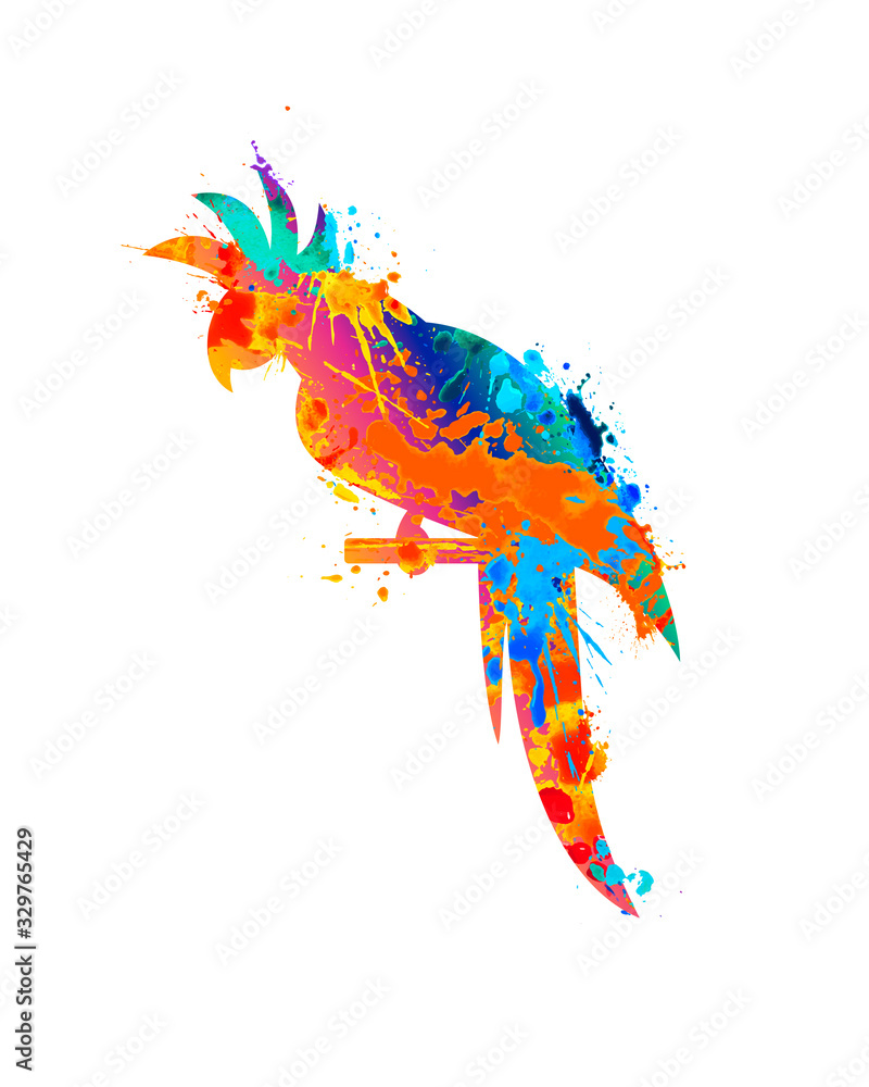 Obraz Parrot icon of splash paint