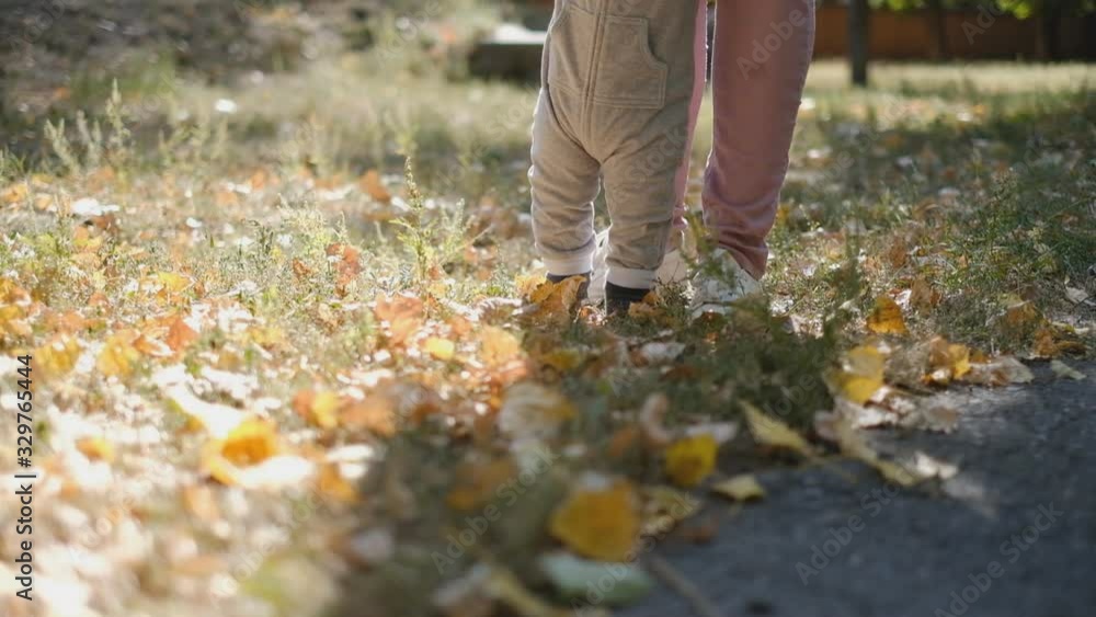 Mom teaches her baby to walk on the grass in the park. The kid stomps his legs on the grass in the autumn with his mother. Mom teaches her baby to walk on the grass in the park. The kid stomps his legs on the grass in the autumn with his mother.