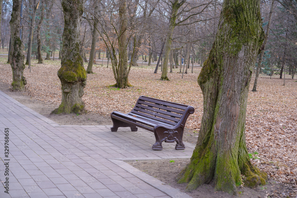 Park bench in early spring