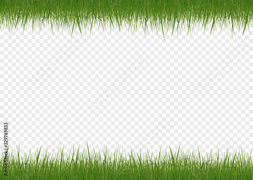 Realistic green grass