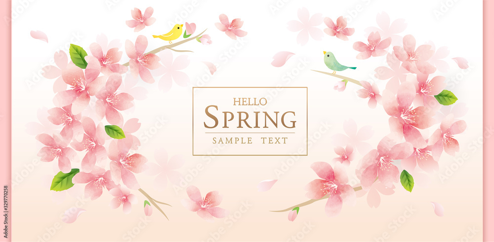 エレガントな春の桜の花のベクターイラスト背景　　spring cherry blossom　background	