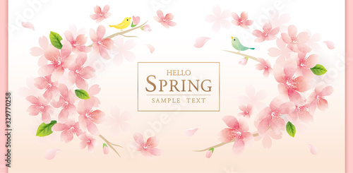 エレガントな春の桜の花のベクターイラスト背景　　spring cherry blossom　background	