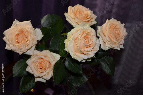 Against the background of purple textile  on a round glass table in a beautiful vase there is a bouquet of beautiful fresh fragrant orange roses with green leaves.