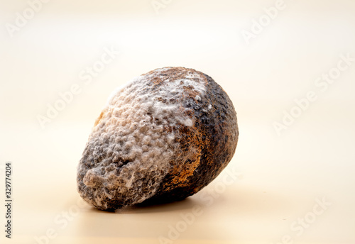 Close-up image of a rotten avocado with mold on light background