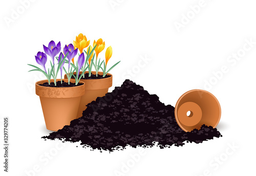Blumen pflanzen, Pflanz-Saison, Terrakotta Blumentöpfe mit Krokusse und Erdhaufen, Vektor Illustration isoliert auf weißem Hintergrund
