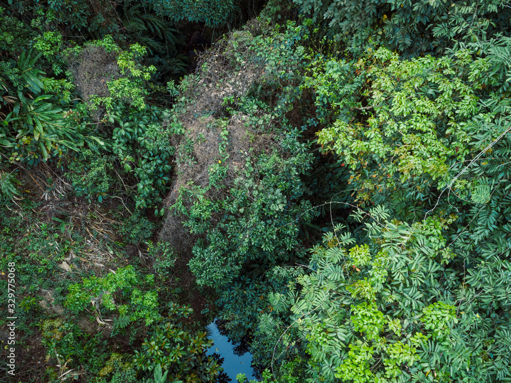 Aerial view of tropical forest in spring Aerial view of tropical forest in spring