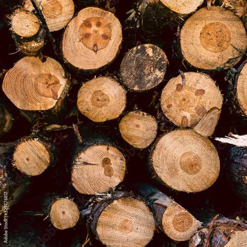 Close up view of a logpile