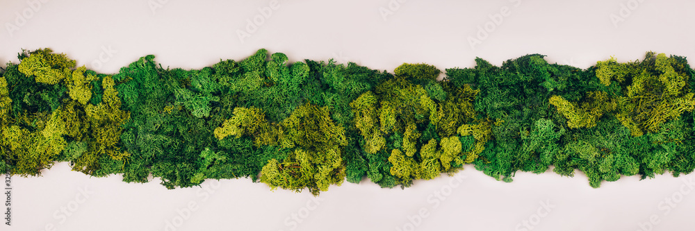 Banner made with dark green moss with copy-space on a grey background. Zero waste concept. Flat lay style.