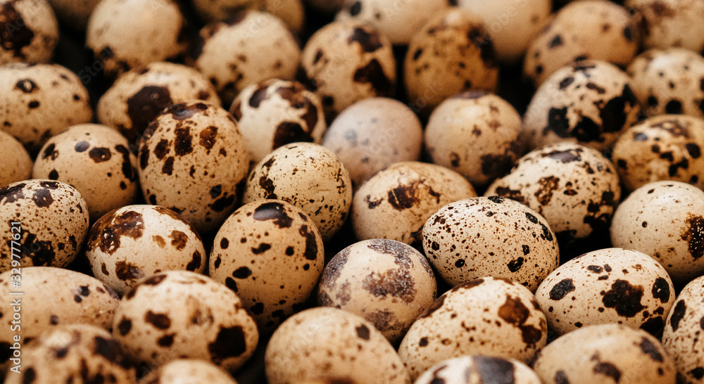 many quail eggs, easter pattern. selective focus, film and grain photo many quail eggs, easter pattern. selective focus, film and grain photo