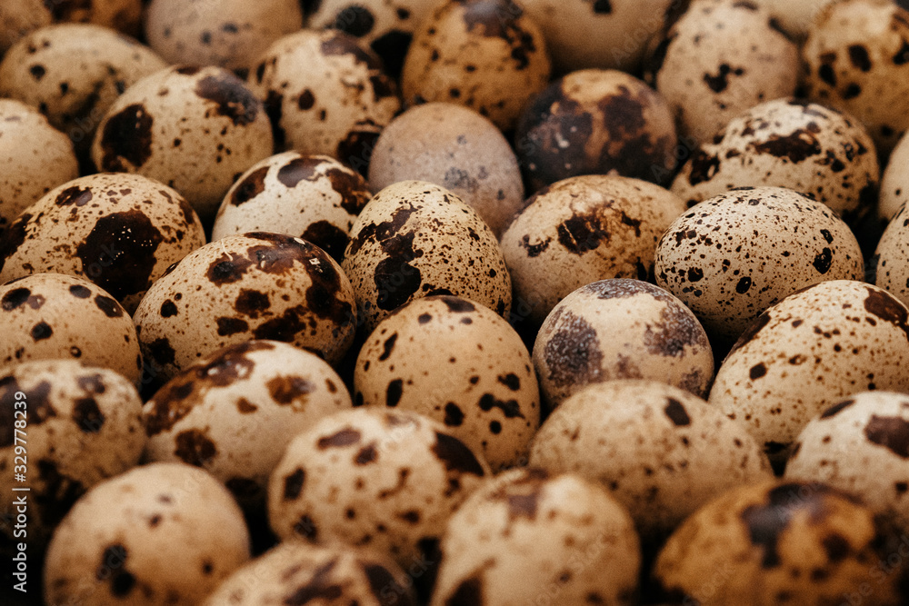 many quail eggs, easter pattern. selective focus, film and grain photo many quail eggs, easter pattern. selective focus, film and grain photo