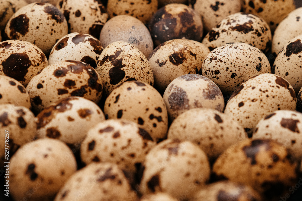 many quail eggs, easter pattern. selective focus, film and grain photo many quail eggs, easter pattern. selective focus, film and grain photo