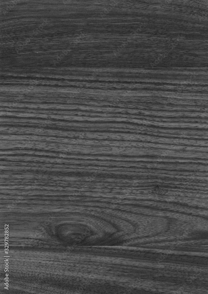 Obraz premium A Grey wooden texture with natural patterns. Design for floor, walls, cases, bags, foil and packaging