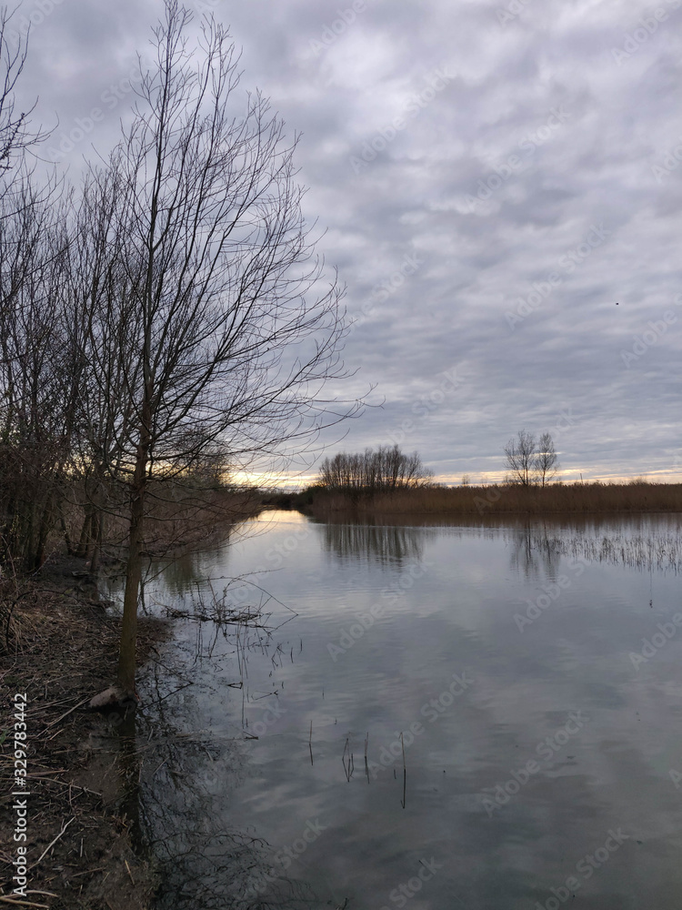 Fototapeta premium The natural area of ​​Punte Alberete near Ravenna, Italy
